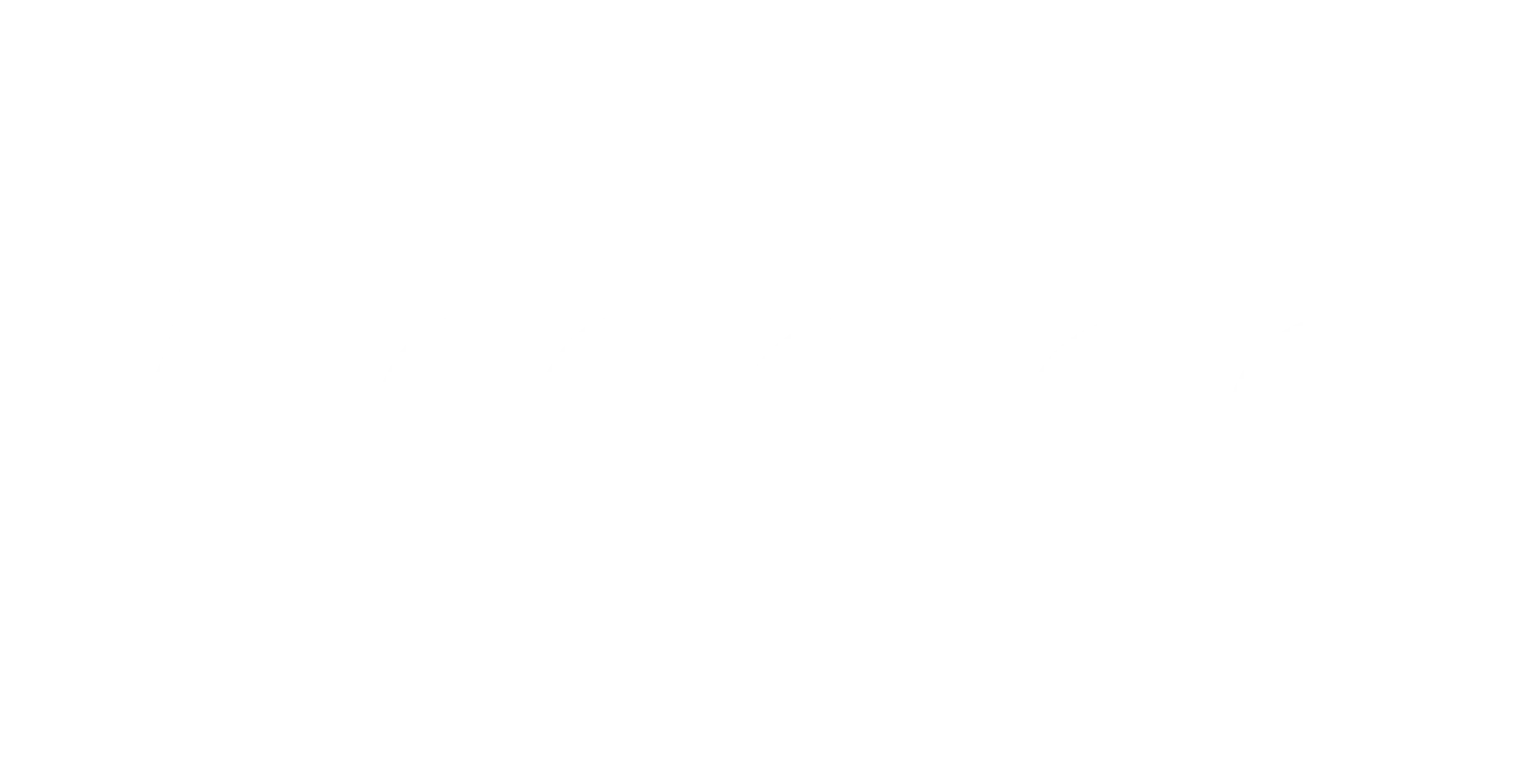 ameco-logo
